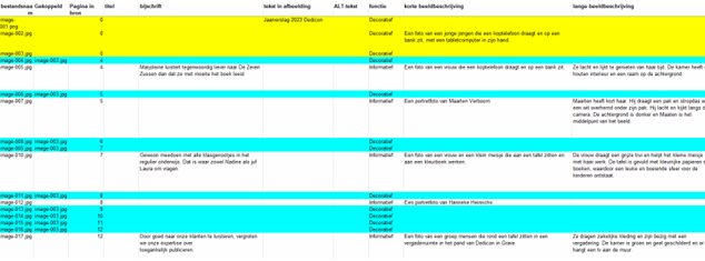 Spreadsheet met afbeeldingsinforamtie: bestand, functie (decoratief geel, gekoppelde afbeeldingen blauw), pagina, bijschrift, korte/lange beeldbeschrijving